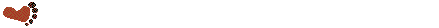 anifoot
