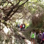 SORTIDA AL BARRANC D'ALGENDAR