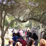 SORTIDA AL BARRANC D'ALGENDAR