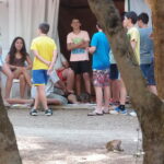 son bou-1eso-2015-mnna-240