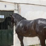 Intercanvi amb girona 2012