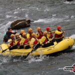 INTERCANVI ITÀLIA 2023