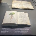 INTERCANVI ITÀLIA (PÀDUA) 2023