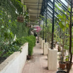 INTERCANVI ITÀLIA (PÀDUA) 2023