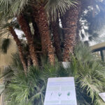 INTERCANVI ITÀLIA (PÀDUA) 2023