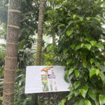 INTERCANVI ITÀLIA (PÀDUA) 2023