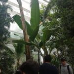 INTERCANVI ITÀLIA (PÀDUA) 2023