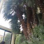 INTERCANVI ITÀLIA (PÀDUA) 2023