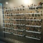 INTERCANVI ITÀLIA (PÀDUA) 2023