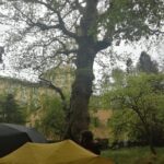 INTERCANVI ITÀLIA (PÀDUA) 2023