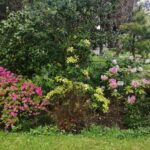 INTERCANVI ITÀLIA (PÀDUA) 2023