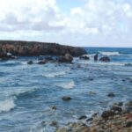 48-binigaus-1eso-pasqua2009