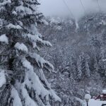 PIRENA THALASSA. LLEIDA 2024