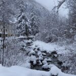 PIRENA THALASSA. LLEIDA 2024