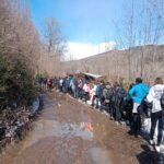 PIRENA THALASSA. LLEIDA 2024