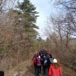 PIRENA THALASSA. LLEIDA 2024