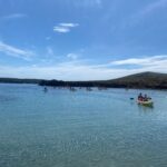 PIRENA THALASSA. LLEIDA 2024