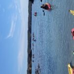 PIRENA THALASSA. LLEIDA 2024