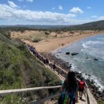 PIRENA THALASSA. LLEIDA 2024