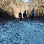 Pont_de_suert_dimecres_5_2_2025_03