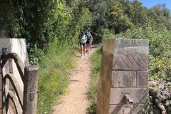 Pirenta-Thalassa_2026_Estada-Menorca_15