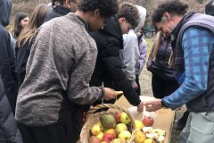 Dilluns-i-dimarts_Pirena-Thalassa-2026_Estada-Pont-de-Suert_05