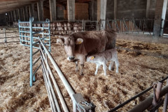 Dilluns-i-dimarts_Pirena-Thalassa-2026_Estada-Pont-de-Suert_11