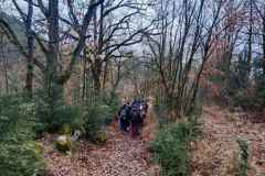 Dilluns-i-dimarts_Pirena-Thalassa-2026_Estada-Pont-de-Suert_12