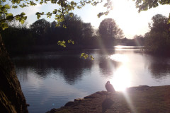 copia de 2016-05-10 19.41.51