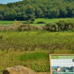 1eso-2017-fornells i sta eularieta-mnna 21