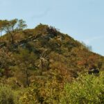 1eso-2017-fornells i sta eularieta-mnna 23