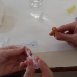 TALLER DE BIOTECNOLOGIA. CURS 2021-22