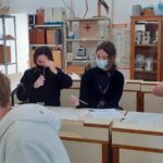 TALLER DE BIOTECNOLOGIA. CURS 2021-22