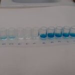 TALLER DE BIOTECNOLOGIA. CURS 2021-22