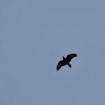 img_2327