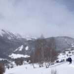 img_2368
