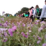 img_20160502_104904