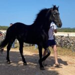 VELO-BICI.CAT. MENORCA 2022