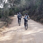 Velobici_mar_3_01