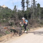 Velobici_mar_3_02