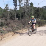 Velobici_mar_3_03