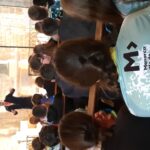 Velobici_mar_3_16