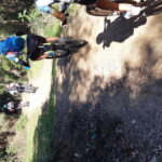 Velobici_mar_4_02