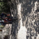 Velobici_mar_4_12