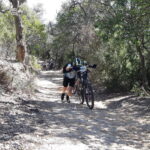 Velobici_mar_4_15