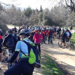Velobici_mar_4_29
