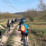 Velobici_mar_5_17