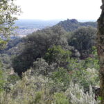 Velobici_mar_6_04