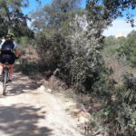 Velobici_mar_6_06