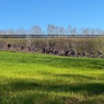 VELOBICI. GIRONA 2025